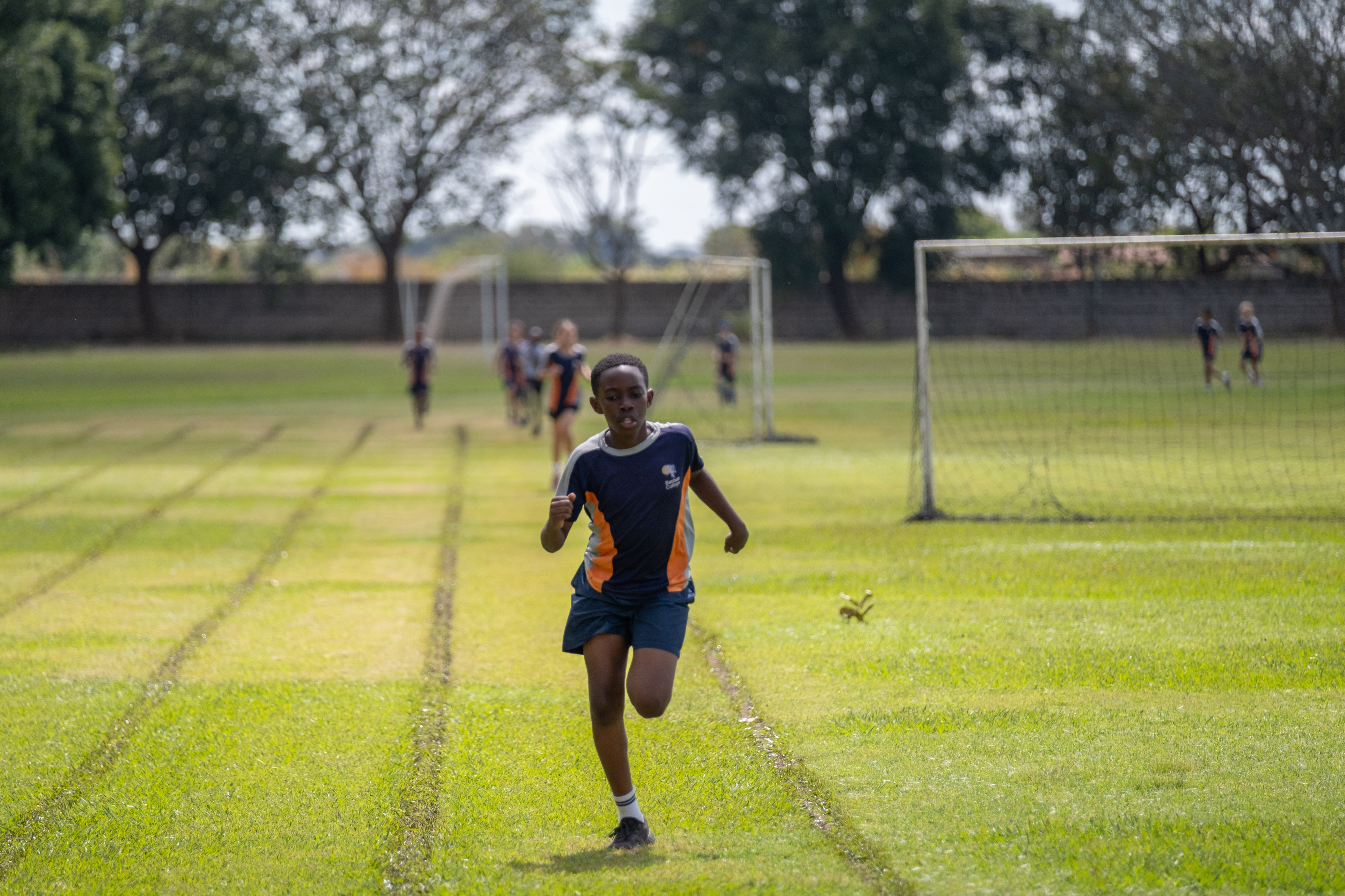 Primary sports gallery image 2